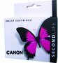 Canon inktcartridges