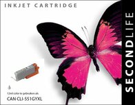 Secondlife inkt Canon CLI 551 Grey