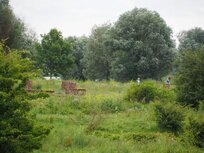 Photowalk Natuurgebied Meinerswijk