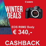 Canon EOS R6 Mark II body