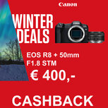 Canon EOS R8 + RF 50mm F1.8 STM