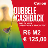 Canon EOS R6 Mark II body