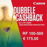 Canon RF 100-500mm F/4.5-7.1 L IS USM