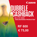 Canon RF 600mm F/11.0 IS STM