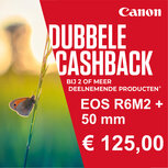 Canon EOS R6 Mark II body + RF 50mm F1.8 STM