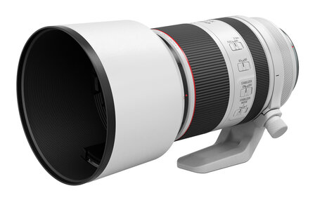 Canon RF 70-200mm F/2.8 L IS USM