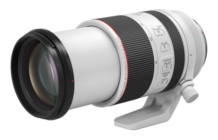 Canon RF 70-200mm F/2.8 L IS USM