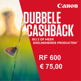 Canon RF 600mm F/11.0 IS STM