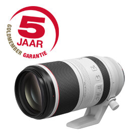 Canon RF 100-500mm F/4.5-7.1 L IS USM