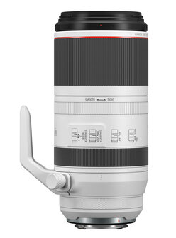 Canon RF 100-500mm F/4.5-7.1 L IS USM