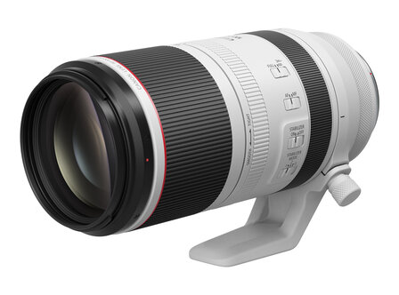 Canon RF 100-500mm F/4.5-7.1 L IS USM