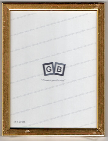 GB fotolijst goud 15x20 cm 02161/A
