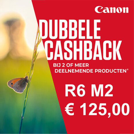 Canon EOS R6 Mark II body