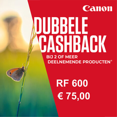 Canon RF 600mm F/11.0 IS STM