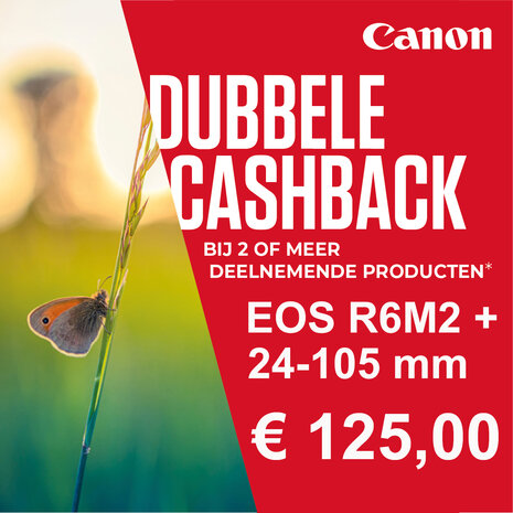 Canon EOS R6 Mark II body + RF 24-105mm F/4-7.1 IS STM