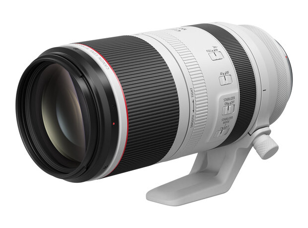 Canon RF 100-500mm F/4.5-7.1 L IS USM
