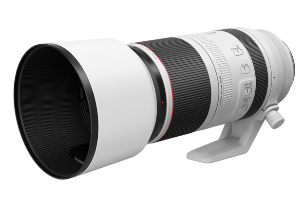 Canon RF 100-500mm F/4.5-7.1 L IS USM