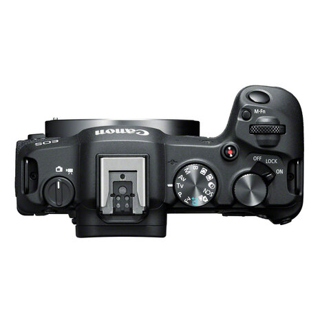 Canon EOS R8 + RF 24-105mm F4 L IS USM