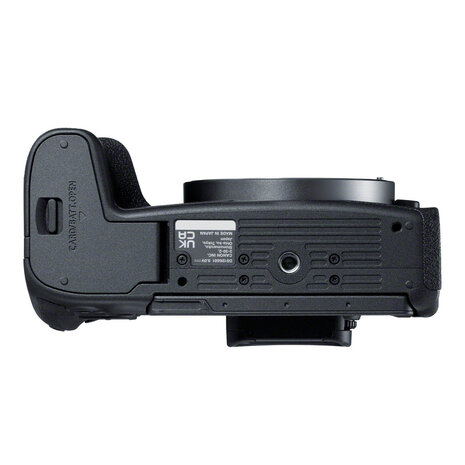 Canon EOS R8 + RF 24-105mm F4 L IS USM